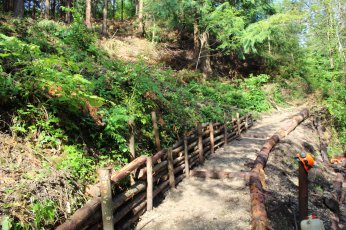 CR FIR FAR Arboretum, mai 2018