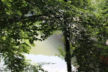 CR FIR FAR Arboretum, mai 2018