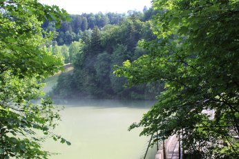 CR FIR FAR Arboretum, mai 2018
