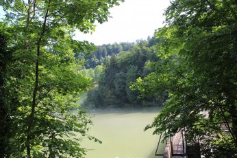 CR FIR FAR Arboretum, mai 2018
