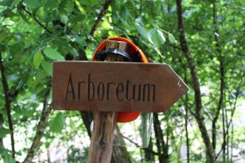 CR FIR FAR Arboretum, mai 2018